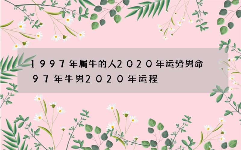 1997年属牛的人2020年运势男命 97年牛男2020年运程
